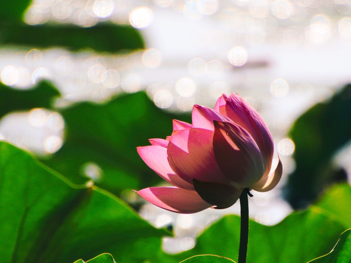 Usted es la chispa&nbsp;divina.