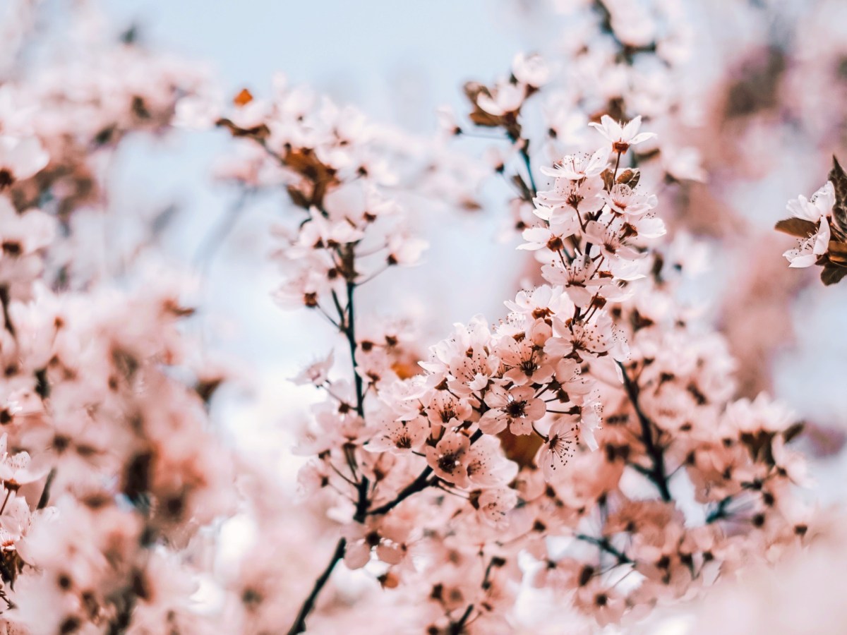 Sus ojos de la&nbsp;intuición